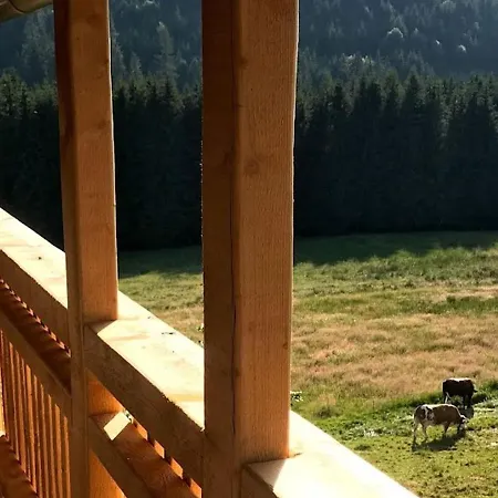 Farnbauernhof Schönwalde