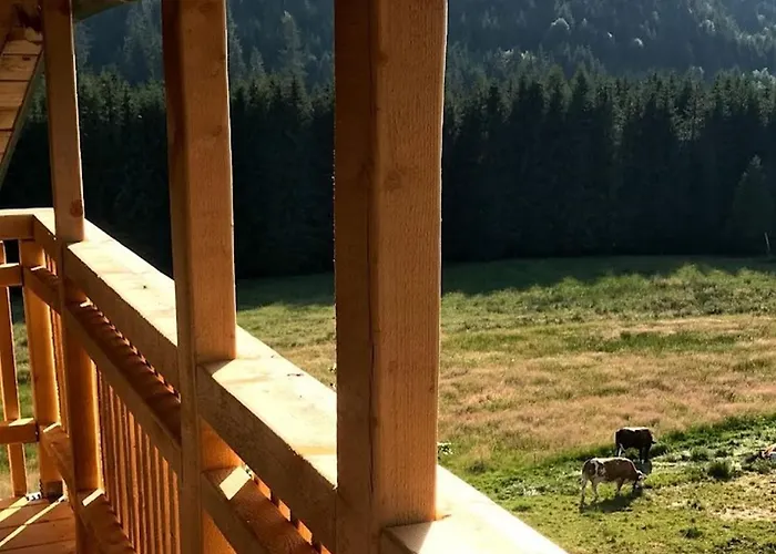 Farnbauernhof Schönwalde