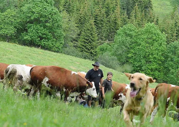 Lägenhet Farnbauernhof *