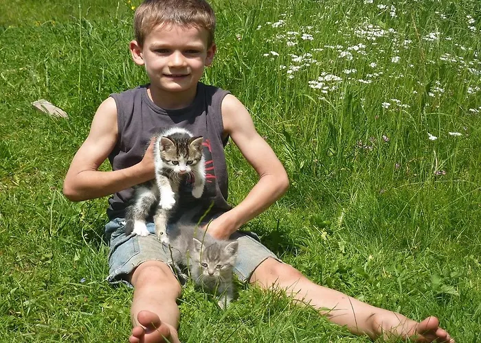 Lägenhet Farnbauernhof